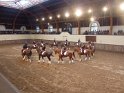 2012-11-13 17-30-54 Formations equestres